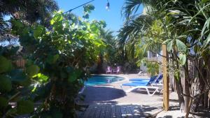 Pauline's Apartments Aruba,Eagle Beach>>Aruba,4 star