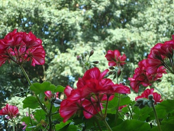 bandb brigitte and alain