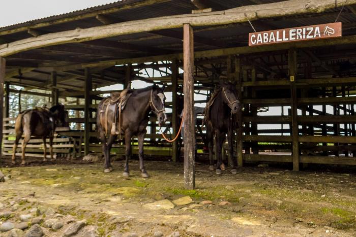 termales del bosque and hot springs