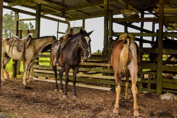 termales del bosque and hot springs