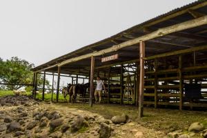 termales del bosque and hot springs