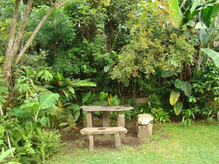 monteverde