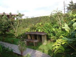 monteverde