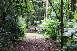 Bosque De Paz,In The Mountains,3 star