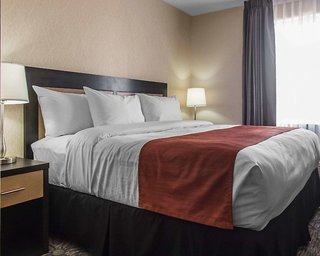 Quality Inn & Suites,Ontario>>Kingston,3 star