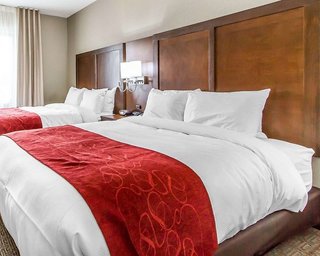 Comfort Suites West Omaha,Douglas>>Boys Town,3 star