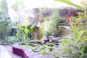 La Villa Creole,Puducherry>>Pondicherry,3 star
