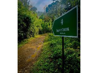 wayanad