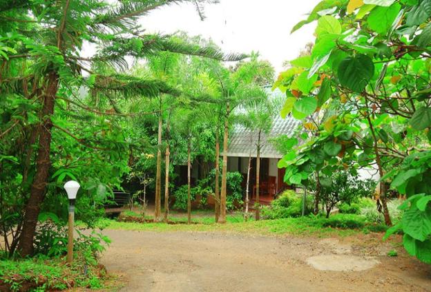 vythiri
