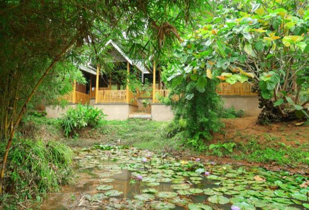 vythiri