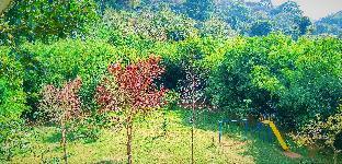 vythiri