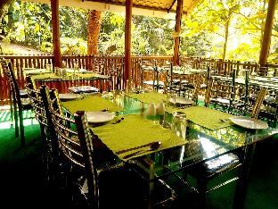 vythiri greens resort