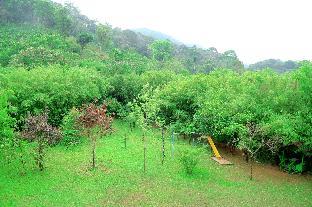 vythiri greens resort