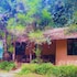 vythiri greens resort