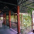 vythiri greens resort