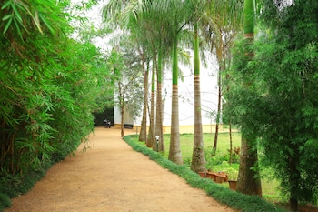 vythiri greens resort