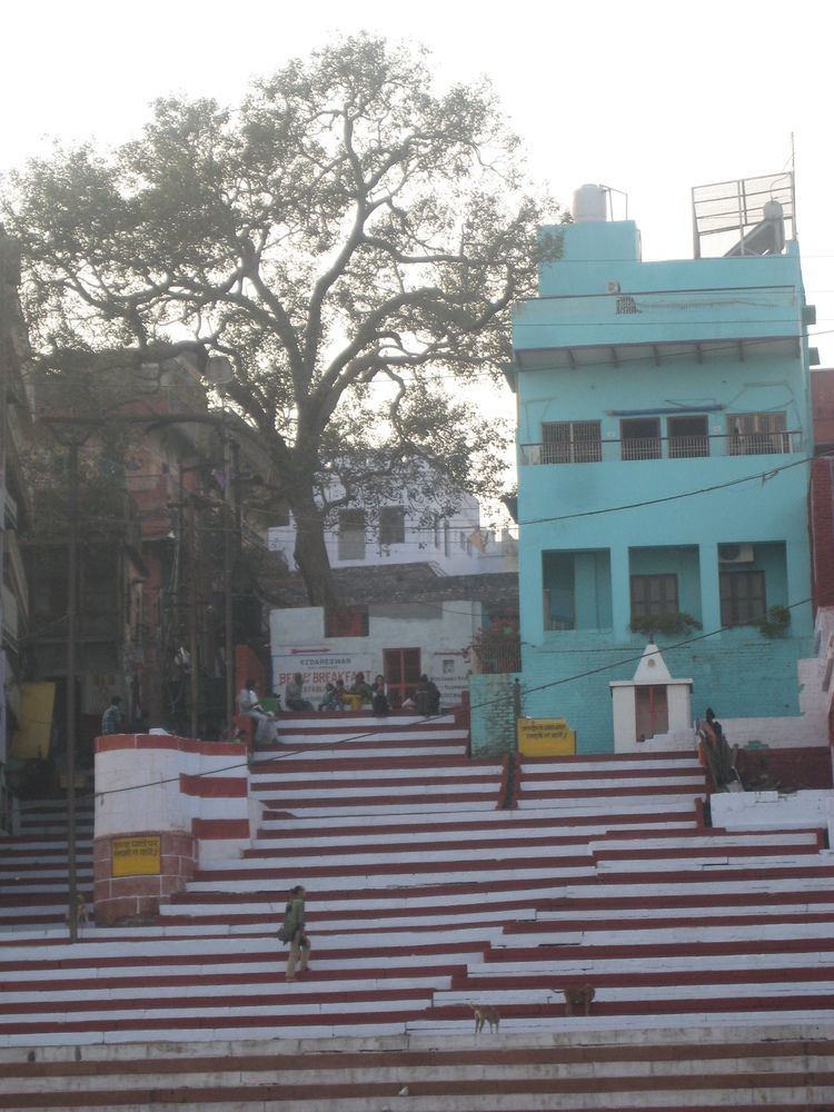 kedareswar bed and breakfast