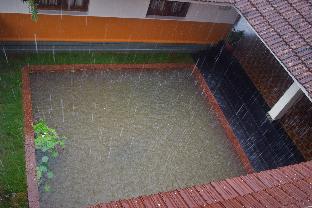 3 Hills County,Kerala>>Kalpetta,3.5 star
