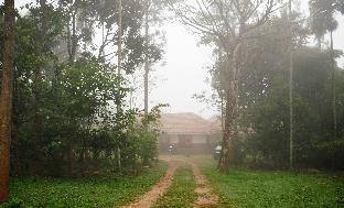 3 Hills County,Kerala>>Kalpetta,3.5 star