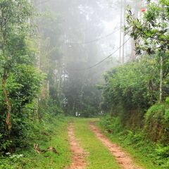 3 hills county
