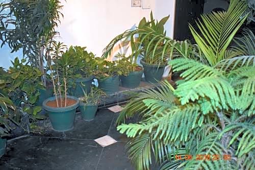 Megha Homestay,Jangpura>>Delhi,2 star