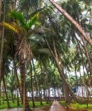 O'nest Oceano Pearl,Ratnagiri>>Pawas,2 star