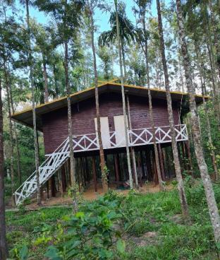 Deep Jungle Home,Masinagudi>>Gudalur,1 star