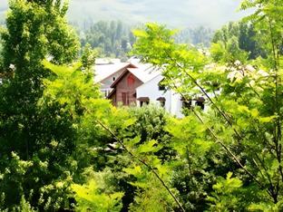 Assad Resorts,Brein,2 star