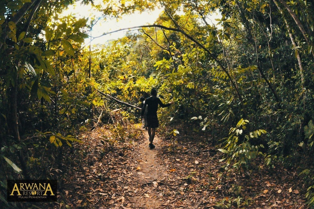 arwana perhentian eco and beach resort