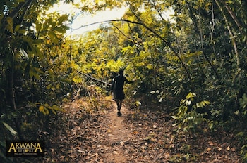 arwana perhentian eco and beach resort