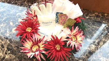 toyoko inn hiroshima heiwa odori