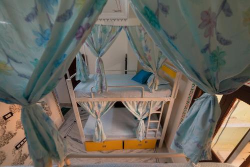 whereabout hostel udaipur