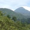 kolluru