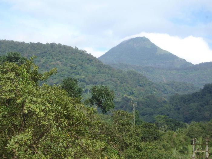 kolluru
