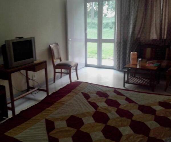 palampur