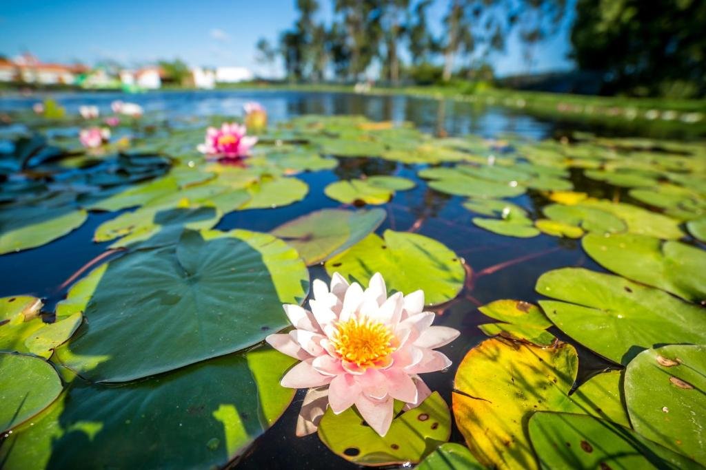 Monte Do Zeca,Odemira>>Beja,2 star