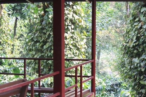 heights farm stay coffee estate stay