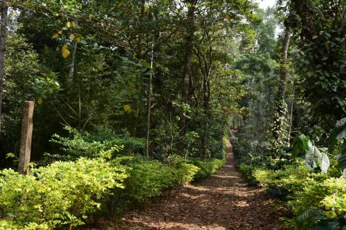 heights farm stay coffee estate stay