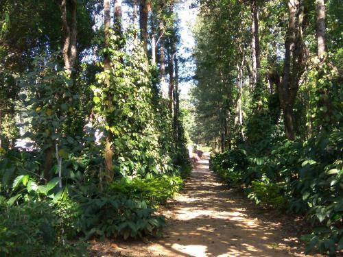 heights farm stay coffee estate stay