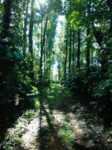 heights farm stay coffee estate stay