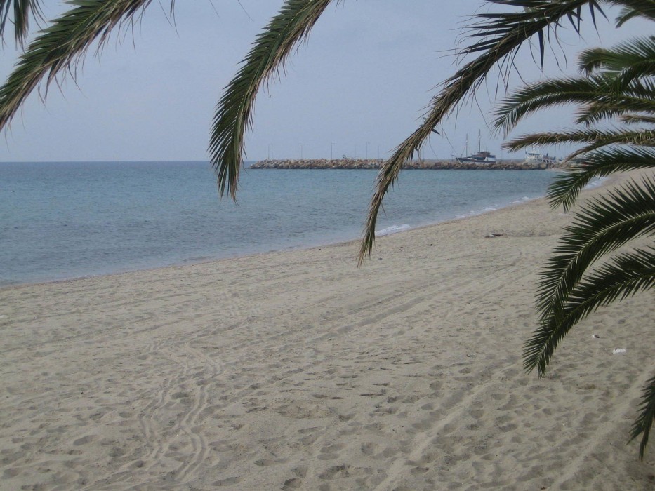 artemis studios and apartments