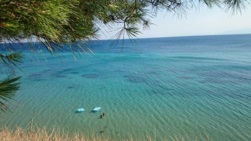 artemis studios and apartments