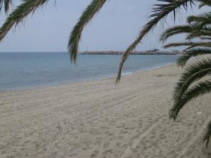 artemis studios and apartments