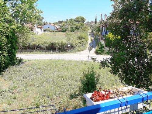 artemis studios and apartments