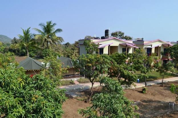 gir forest national park