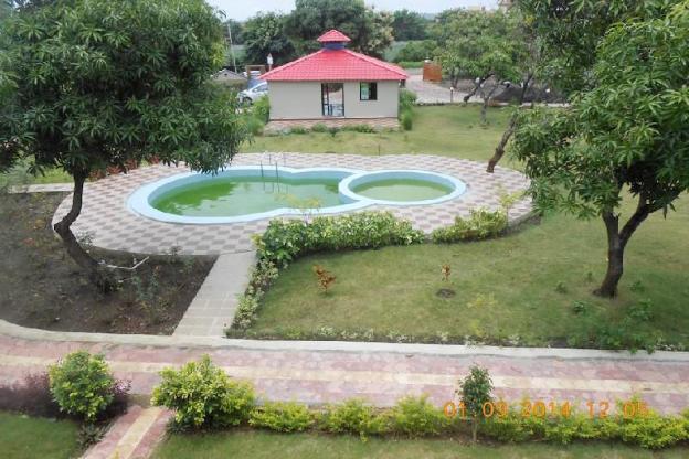 gir forest national park