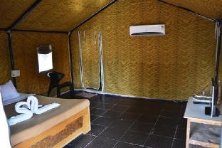 gir forest national park