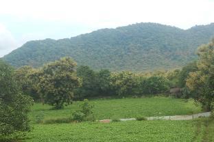 gir forest national park