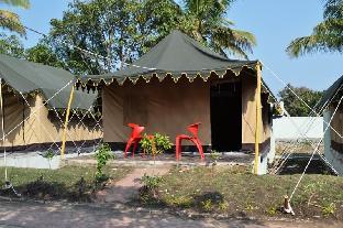 gir forest national park