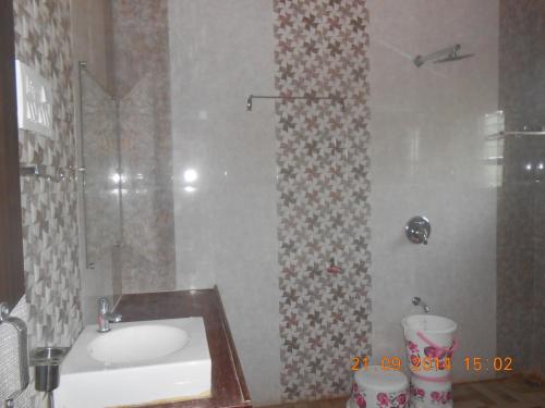 gir forest national park